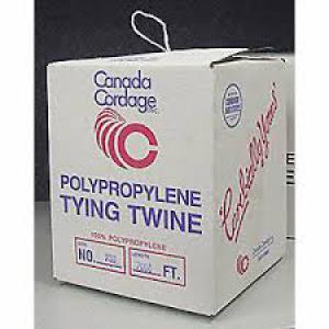 Product Image for 38040040 Poly Tying Twine Radiant 9000'