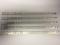 11990037.JPG Steel Cargo Seals Standard Tamper Proof