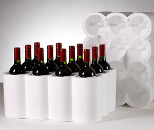 Standup Foam Shipper